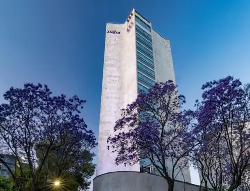 Creating an Oasis in the City at the Andaz Mexico City Condesa