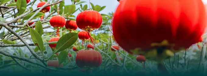 Redefining Food Consumption: Savoring Sustainability at Sofitel Sanya Leeman Resort, China
