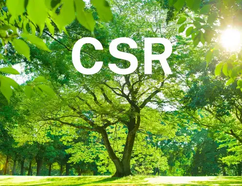 Myth busting: CSRD and, Small and Medium Enterprises (SMEs)