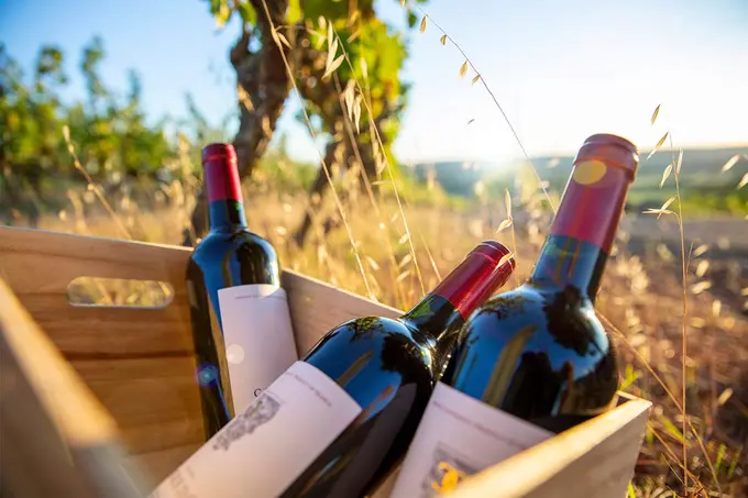 Bordeaux 2025: Is it Time to Buy En Primeur Again?