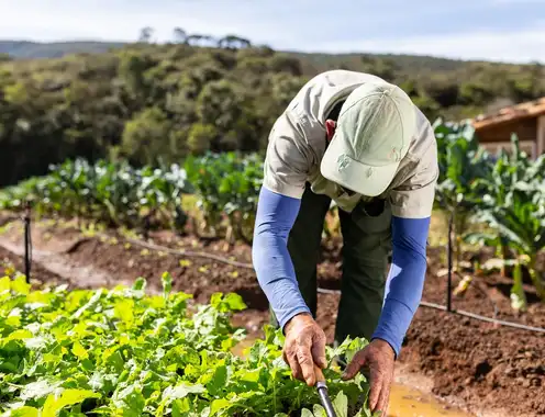 Ibiti: A Living Proof That Regenerative Hospitality Works