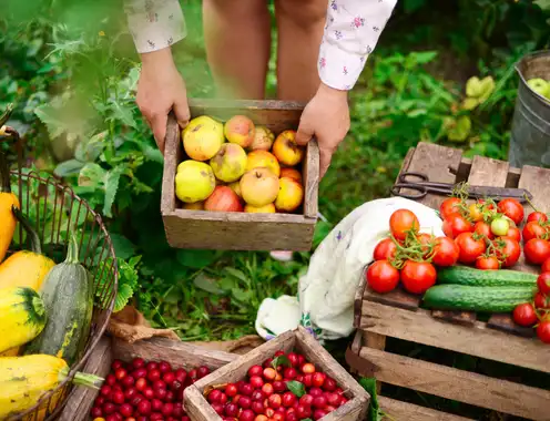 Food and Beverage Trends: What Works and Is Sustaining?