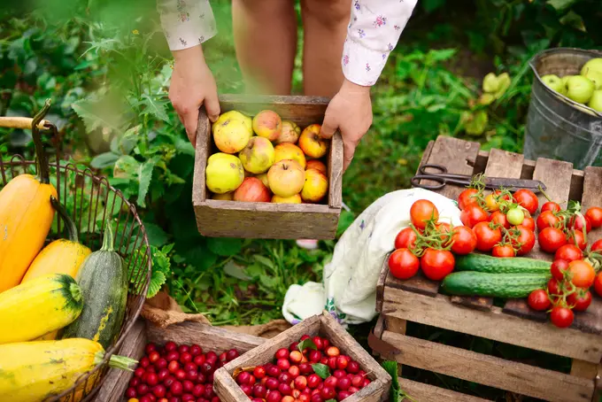 Food and Beverage Trends: What Works and Is Sustaining?