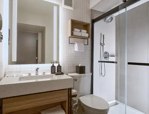 Hmispu 013 Bathroom Shower Standard Phlus 14363 (1)